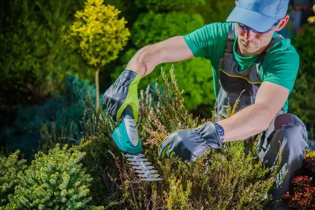 landscaping services Terre du Lac